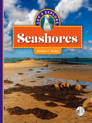 cover image of Let's Explore Seashores